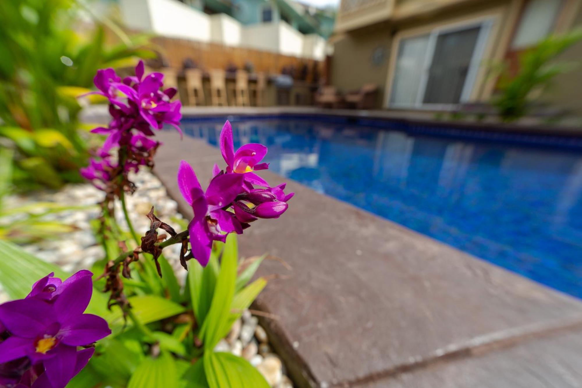 Plumeria Suite, 2-Bedrooms, Sleeps 6, Pool & Bbq, Pre-Renovation Summer Sale Кихеи Екстериор снимка